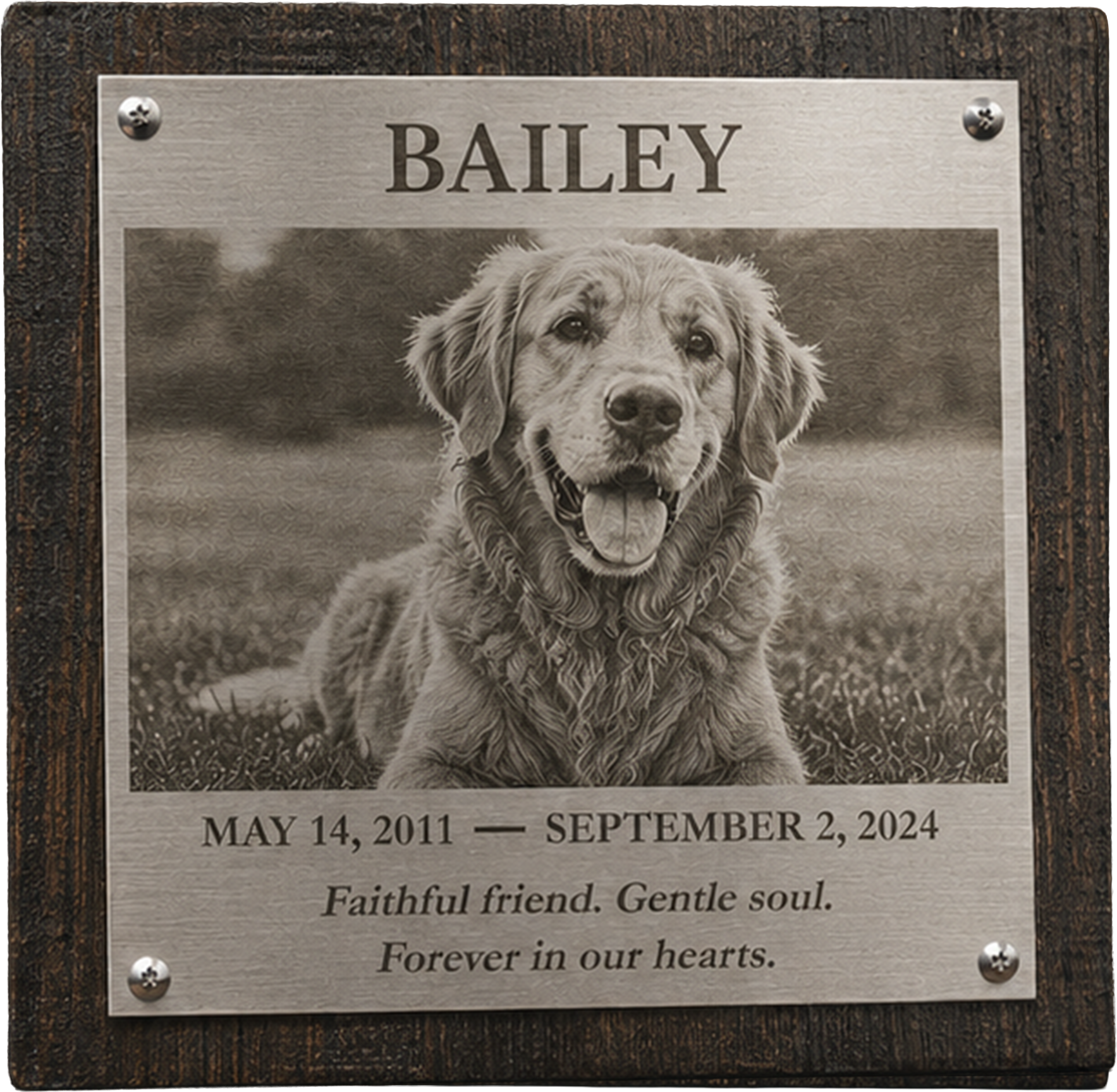 Custom Stainless Steel Photo Plaque on Reclaimed Wood